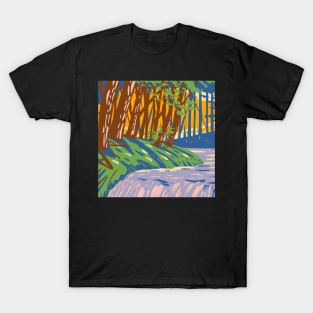 Babbling Brook T-Shirt